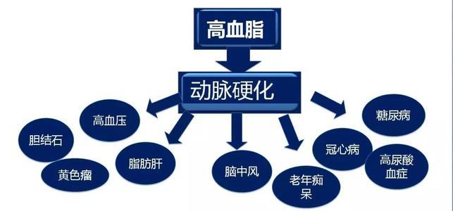 高血脂一般會產(chǎn)生什么樣的危害呢？高血脂有什么危害？