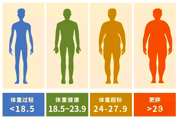 人體健康指標有哪些？輕松讀懂自己的身體信號