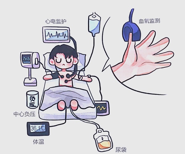 人體的生命體征有哪些？輕松讀懂健康基礎信號